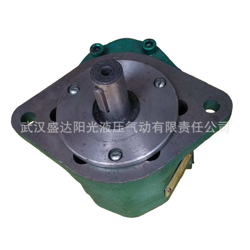 榆次 无锡 河北 CB-Fa全系列 高压齿轮泵 CB-Fa10 齿轮泵