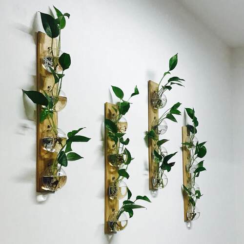 创意壁挂墙上木板水培植物玻璃花器工艺画家居背景墙装饰挂饰田园