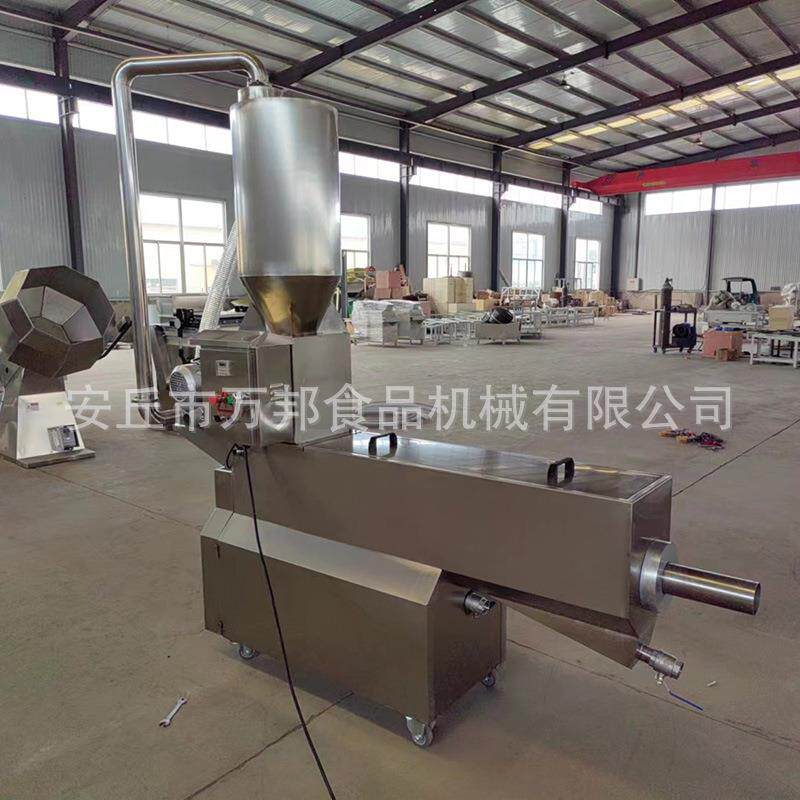 自动上料不锈钢芝麻清洗机商用五谷杂粮大米黑芝麻水洗清洗机