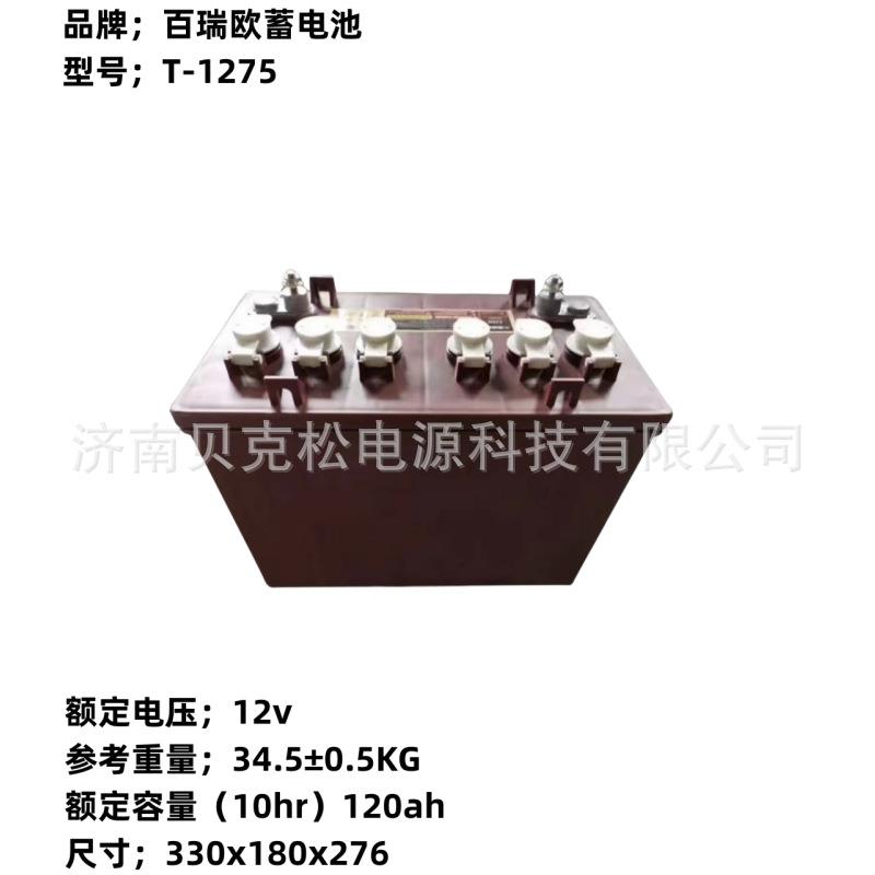 百瑞欧蓄电池T-1275T-1285电动叉车12v120ah150a水电瓶可充电