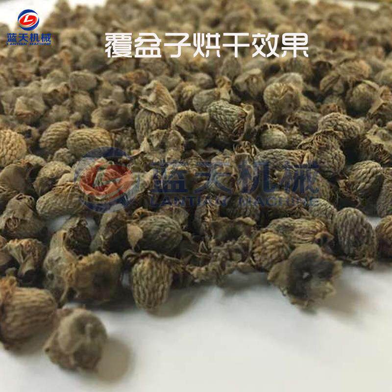 覆盆烘干机 SNG悬钩粒子果树莓烧生物颗烘干 大型覆盘房子子烘干