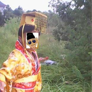 狗狗宫廷头饰创意搞怪猫咪头套宠物秦始皇头冠cos拍照出片