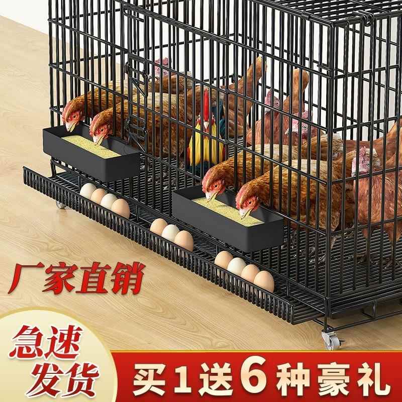 鸡笼子家用室外特大号鸡舍家用室内农村折叠自动清粪鸭笼养殖笼