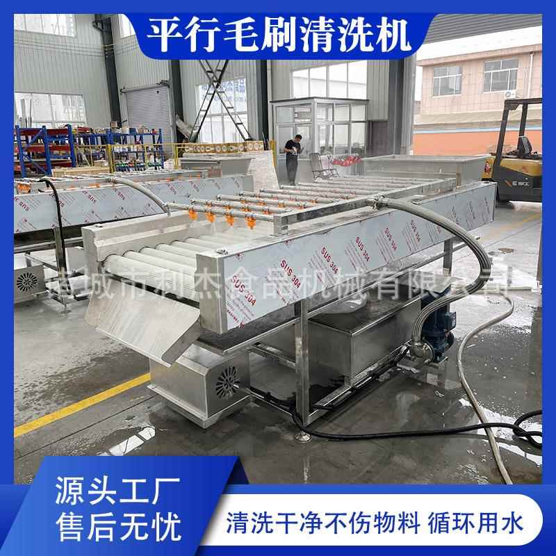 红薯去泥毛辊清洗机海蛎子平行毛辊清洗机土豆平行毛辊清洗机