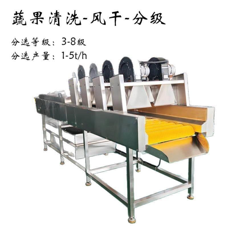 蕃茄清洗风干分选设备圆形及椭圆形果蔬的浸泡、清洗、分选加工