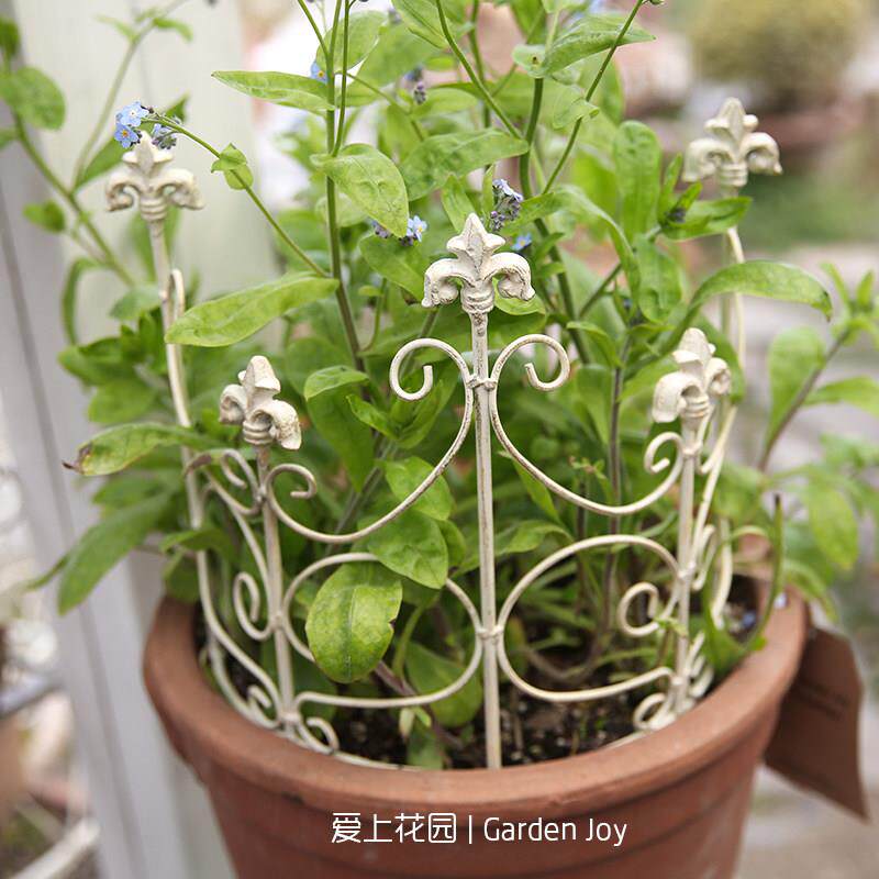 爱上花园围栏栅栏爬藤架支撑架庭院户外铁艺植物爬藤架支撑架栅栏