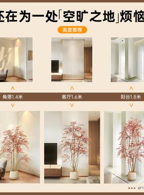 氛围树客厅彷生绿植红叶南天竹高端轻奢室内彷真大型植物装饰造景