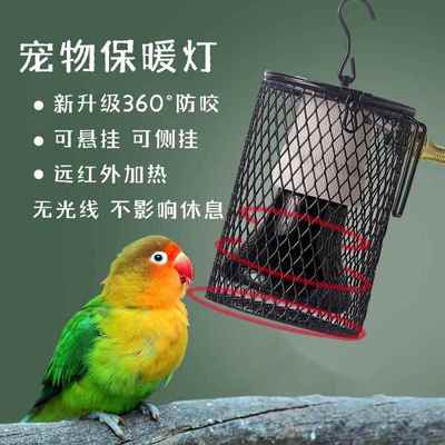 鹦鹉保温灯宠物过冬保暖灯芦丁鸡取暖器防烫笼子小宠加热灯