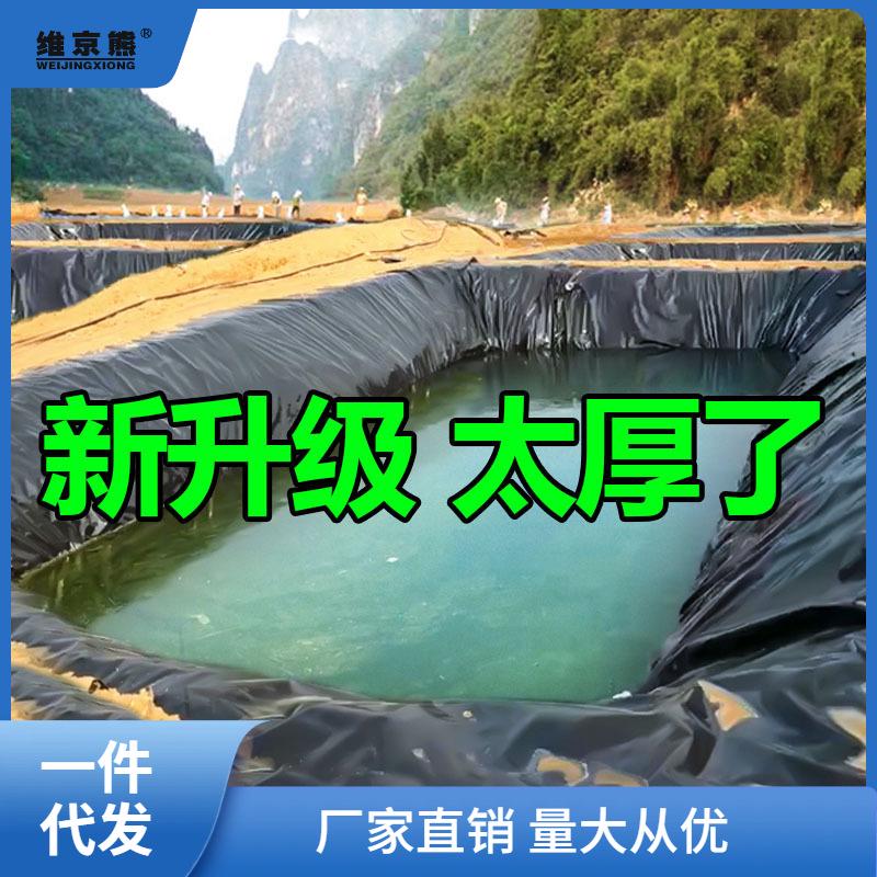 鱼塘防渗膜鱼池防水帆布水产养殖塑料膜蓄水池篷布膜油布链衡链衡