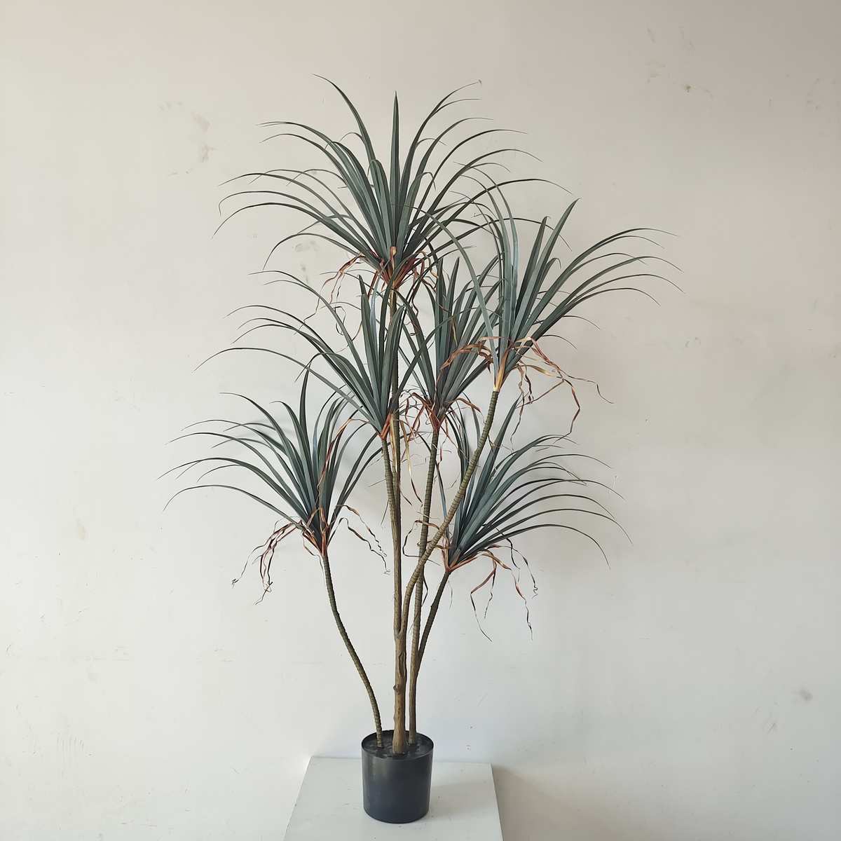 大型仿真北欧ins风假植物落地盆景室内装饰假盆栽绿植 千年龙铁木