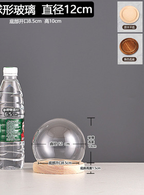 厂家跨境永生干花玻璃装饰摆件