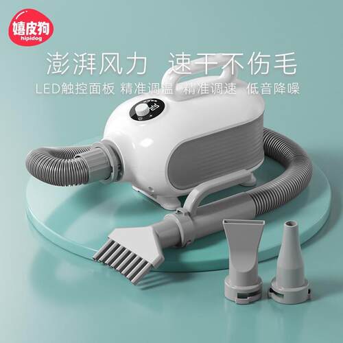 大功率宠物吹水机家用吹风猫咪狗狗烘干机大型犬专用洗澡吹毛神器