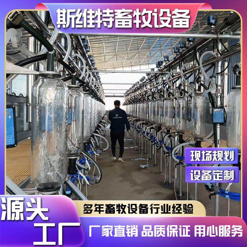 奶山羊鱼骨式计量瓶挤奶厅斯维特养殖场智能管理设备厂家货源