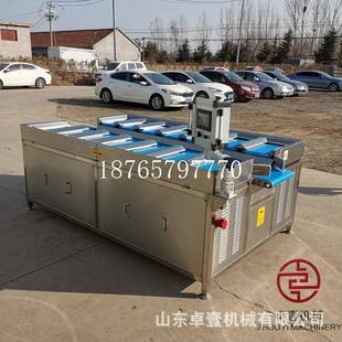 榴莲苹果桔子定量称重分选机海参鸡爪鸡翅组合秤土豆洋葱定量打包