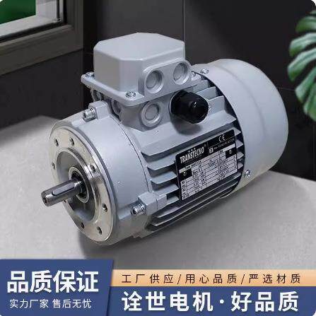 进口原装意大利TRANS1TECNO诠世4FOF电机MS7B意大利电机意大利马