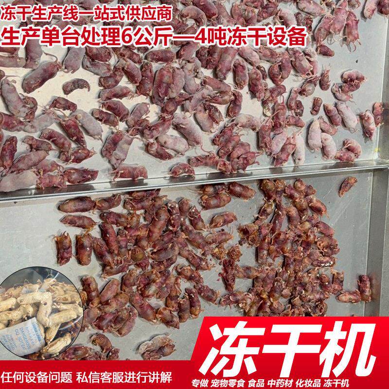 实验动物小白鼠真空冻干机标本低温定型保形生物真空冷冻干燥机