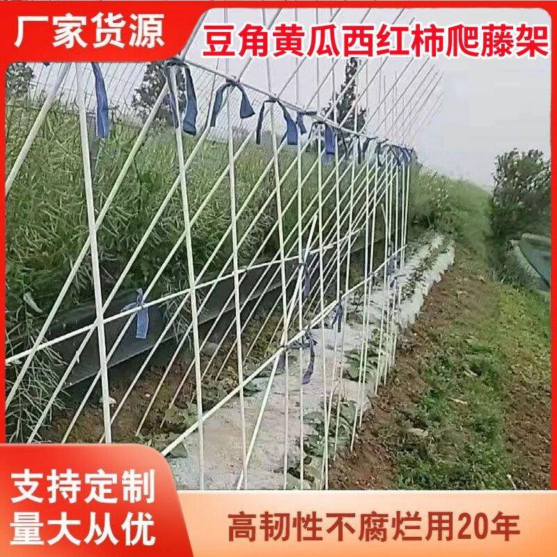 植物支撑杆种菜杆子豆角搭架杆茄子芸豆西红柿黄瓜育苗玻璃钢架子图片