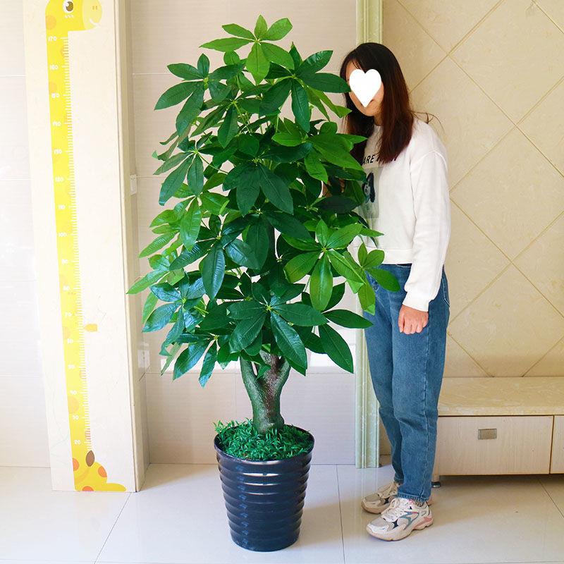 假树发财树塑料仿真植物塑料盆栽室内大型摆设客厅