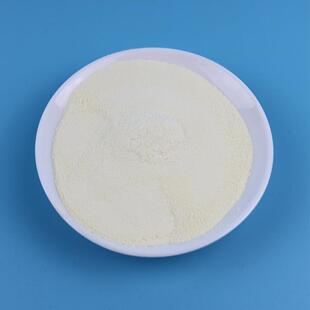 宠物乳铁蛋白粉增粉育猫咪肥发狗狗1000克