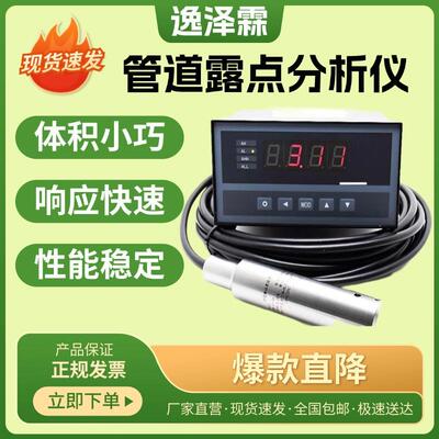 YZL-F300型在线式管道露点分析仪电容式陶瓷感湿露点仪露点温度计