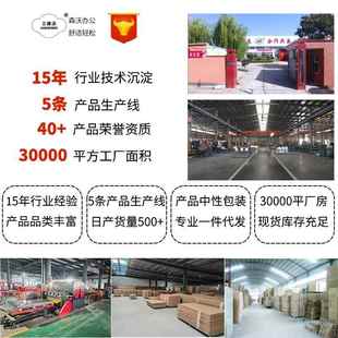 文件柜办公钢制财室务资料柜铁档案保险柜子 加密皮厚保密柜码