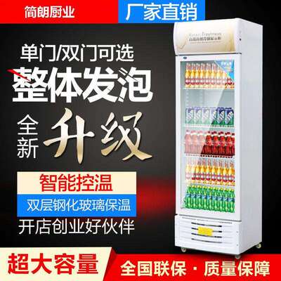 双开门立式柜啤酒柜单门饮料柜保鲜冷藏展示柜玻璃门冷饮展示柜;