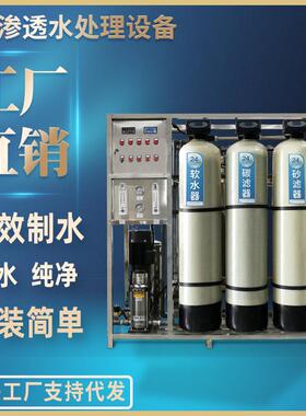 大型反渗透水设备除离子工业纯水机食品加工用水处理器集中饮水
