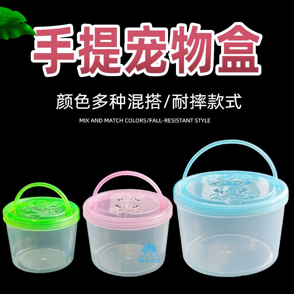 儿童小鱼小鱼宠物宠物捞鱼桌面缸