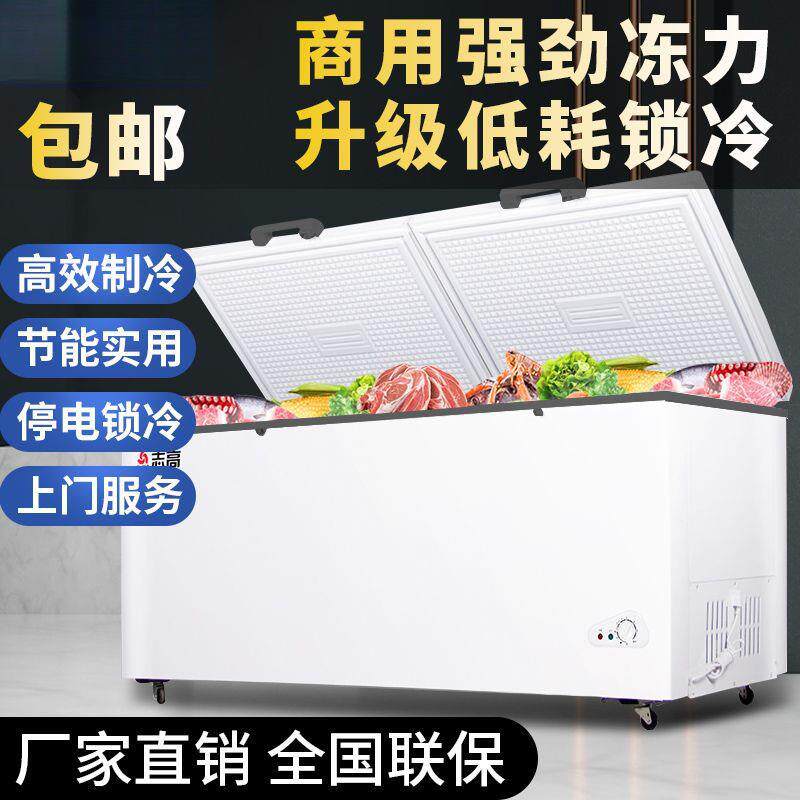 商用大容量家用冰柜双温冷藏冷冻柜双门速冻无霜省电冰箱节能防护