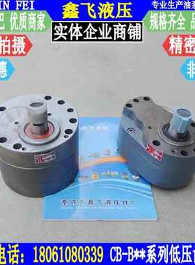 TXLB-16B20B25B32B40B50WXJB6B3B80B100B125齿轮油泵HYXCB