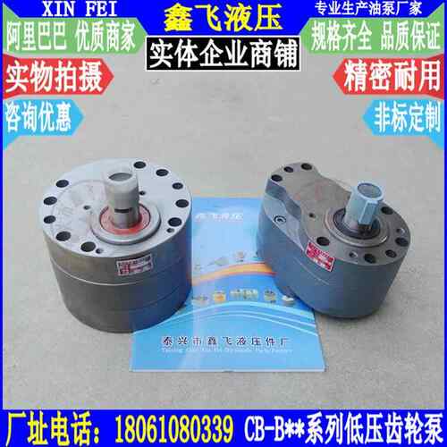 TXLB-16B20B25B32B40B50WXJB6B3B80B100B125齿轮油泵HYXCB