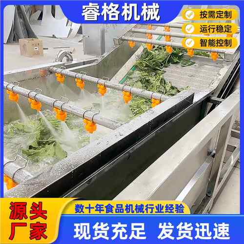 不锈清钢气蔬菜清洗机 水果蔬菜洗机 EDW全自动果蔬气泡泡清洗机