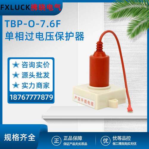 TBP-O-7.6F(2.13/4.6)组合式单相过电压保护器6kv电机中性点保护