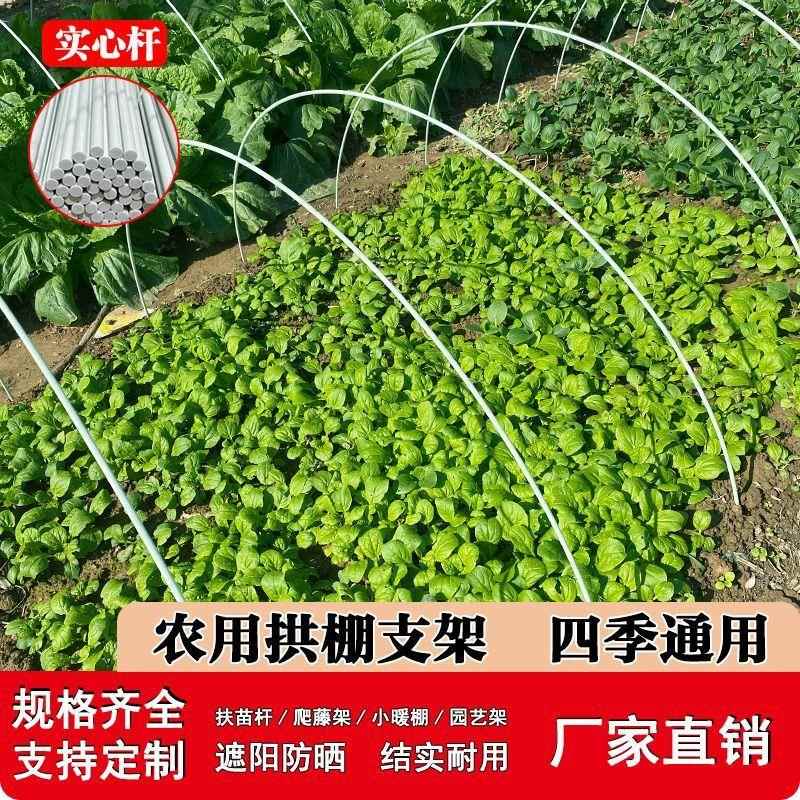 大棚拱杆大小拱棚小棚支撑架高强爬藤玻纤暖棚塑料豆角插地杆子骨