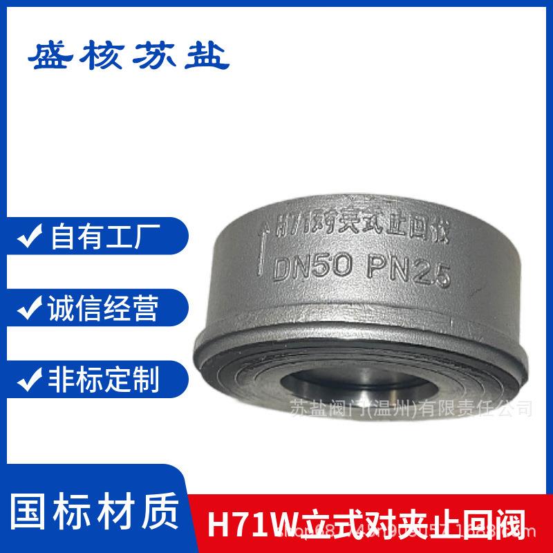 H71H/W-16C国标铸钢不锈钢对夹弹簧升降式止回阀H72X/F-10P单向阀