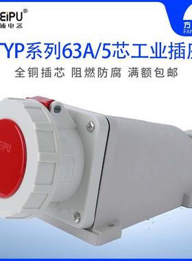 威浦 TYP6924 防水工业插座 明装插座 63A5芯 IP67 WEIPU 正品