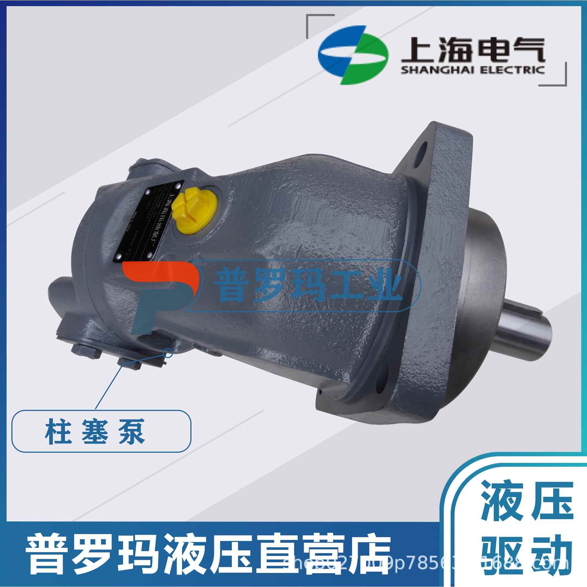 液压斜轴式A2F80/6.1RVPB05液压A2F45L1P3轴向柱塞泵马达