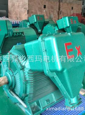 YB2-4004-4450W西玛牌6V压隔爆型电机ExdⅡBT4绝缘H级