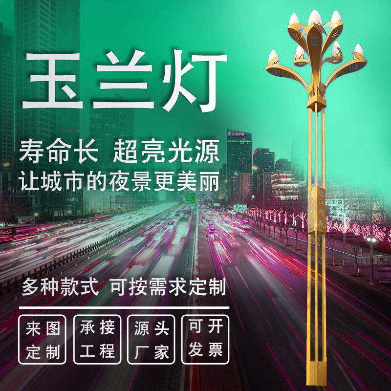 市政工程款道路路灯6/8/9/10多头景观玉兰灯中华灯杆广场景观灯