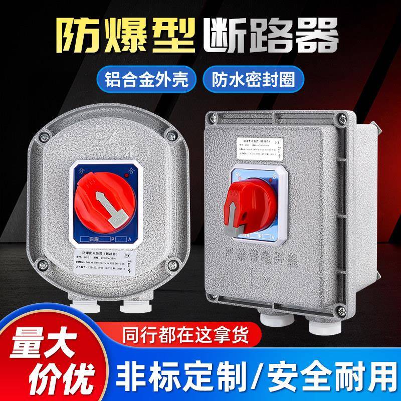 防爆断路器配电箱防爆空气开关10A25A32A63A 控制箱漏电保护空开