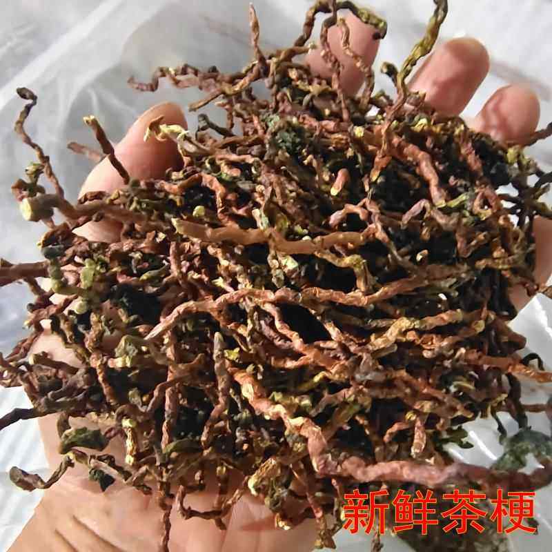 茶枝去味新茶梗除甲醛茶梗装修新车吸味可泡水大排档饭店茶做枕头