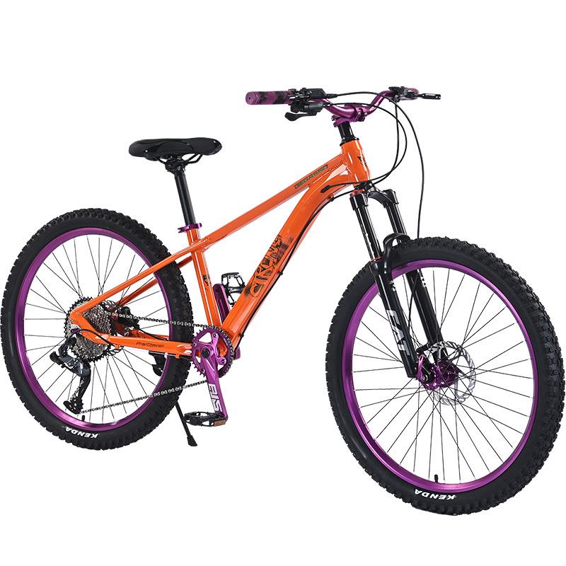 新款直销土坡车男女成人变速山地自行车铝合金超轻减震bike青少年