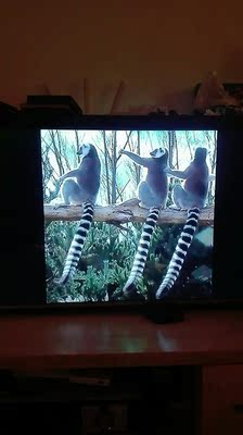 【电视外观展示】创维43H5好还是长虹43D5S好？质感哪款更强些？