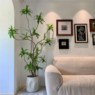 CFW海虹景品百合绿植室内客轻落厅仿竹生假树奢花大型地盆栽