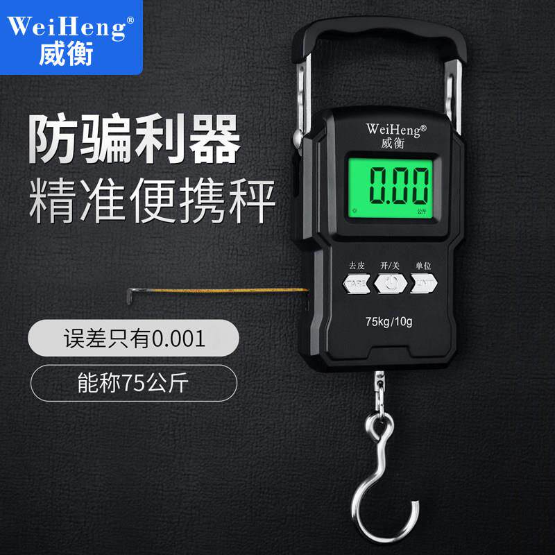高精度手提电子秤家用弹簧小型精准可携式迷你称鱼器快递吊勾小称