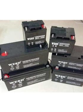 WESD无敌蓄电池WD17-12 12V7AH12A20A24A33A38A40A65A100A直流屏
