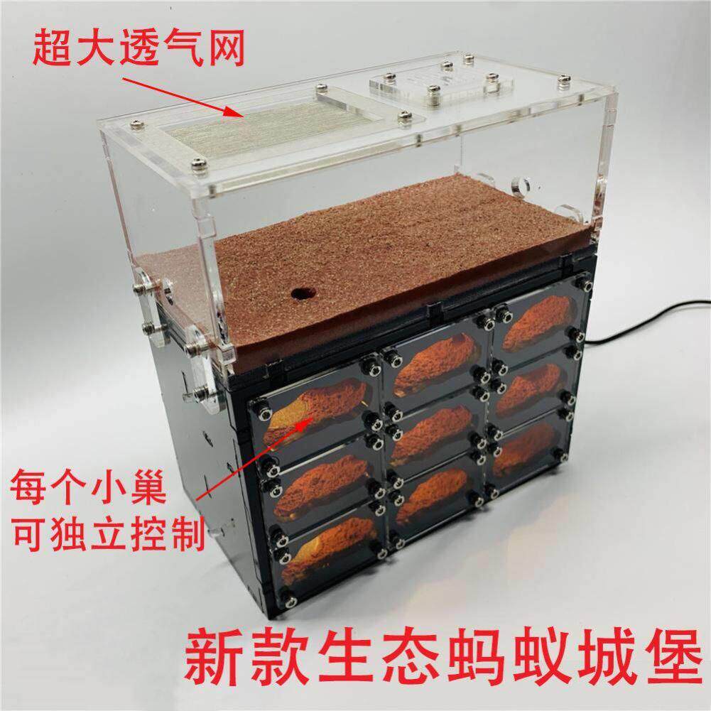 蚂蚁生态箱带夜灯饲养盒豪华宠物蚂蚁工坊亚克力超大沙巢生态蚁巢