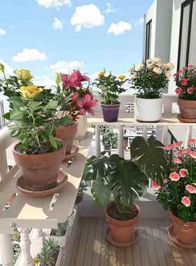 盆铁艺阳16237台栏杆挂悬花架绿植置物架护栏挂D式花架大花盆植物