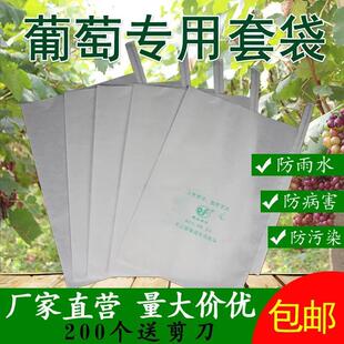 Waterproof and rain-resistant fruit bag for grapes, designed