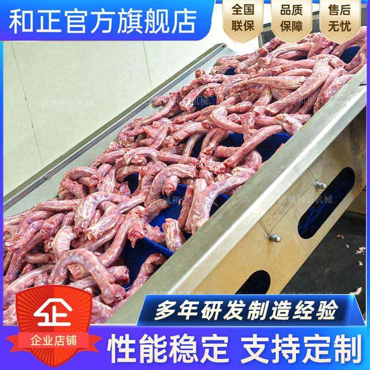 小鱼仔解冻机 速冻肉解冻机 快速解冻恒温机 海鲜水产解冻清洗线